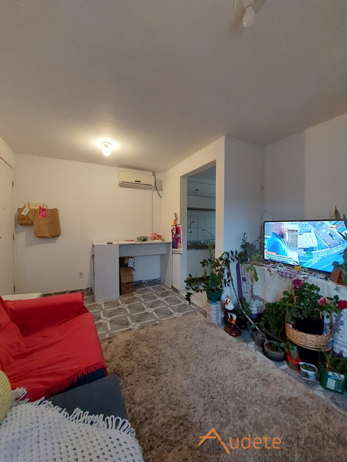 Apartamento Bairro Badenfurt — foto 5